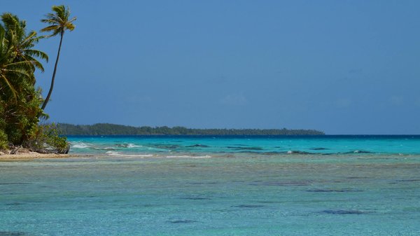 Où trouver les meilleures expériences d'escalade sur les parois granitiques du Yosemite, États-Unis?
